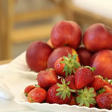 לינה וארוחת בוקר Estlevante